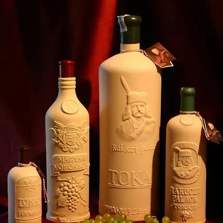 Tokajvar מלון טוקאי