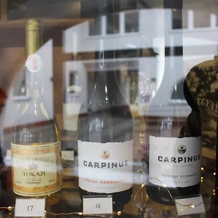 Szálloda Tokajvar Tokaj
