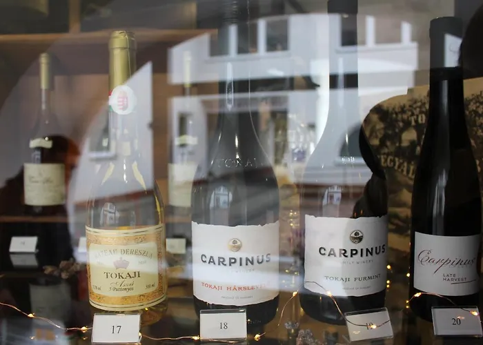 Hotel Tokajvar Tokaj